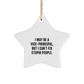 Funny Vice-principal Gifts from Friends for Christmas - I May Be A Vice-principal, But I Can't Fix Stupid People. Star Ornament - Image 1